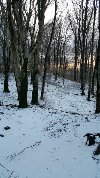 Tramonto dopo la nevicata del 16 dicembre 2017 / 20171216_161353 (FILEminimizer).jpg 20171216_161353 (FILEminimizer).jpg