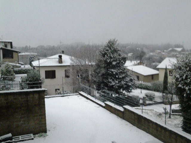 20150201_080559.jpg