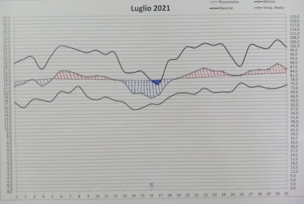 Grafico luglio 2021.jpg