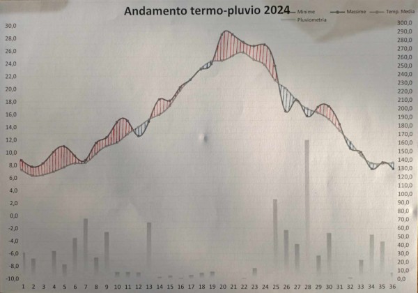 Grafico Anno 2024.jpg
