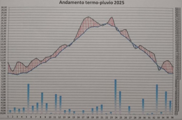 Anno (old).jpg