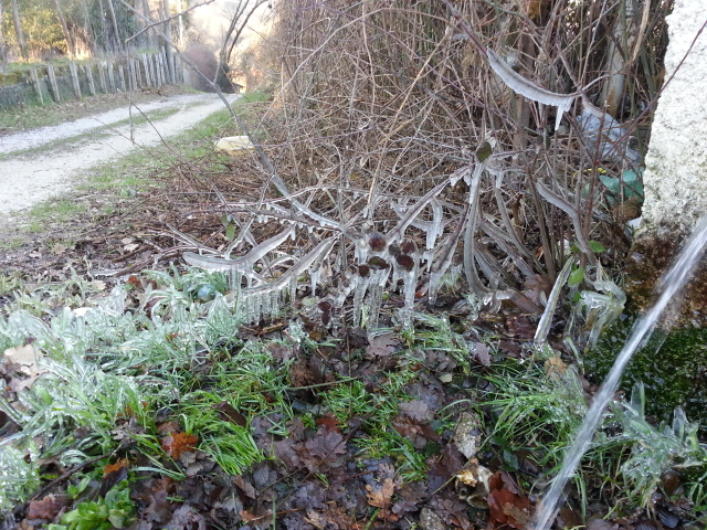 20150209_081827.jpg