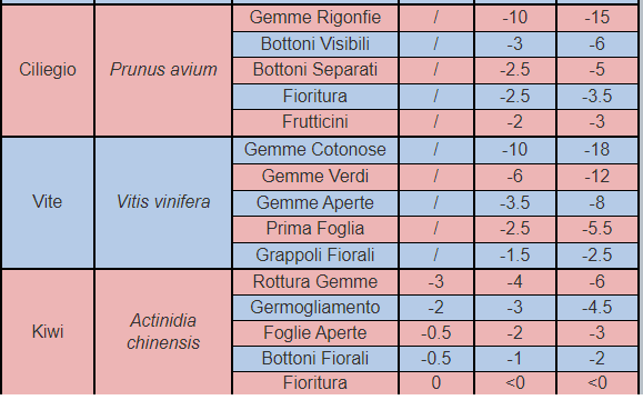 Schermata 2021-03-19 alle 02.55.53.png