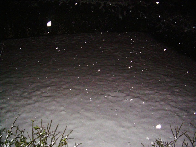 DSCN3330.JPG