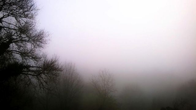 Nebbia.jpg