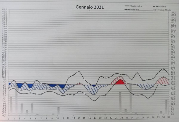 Grafico Gennaio 2021.jpg