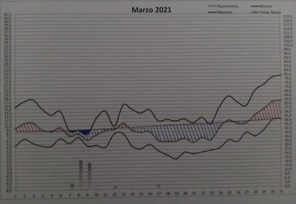 Grafico marzo 2021.jpg