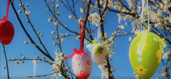 addobbare-albero-pasqua-845x395-a1c.jpg