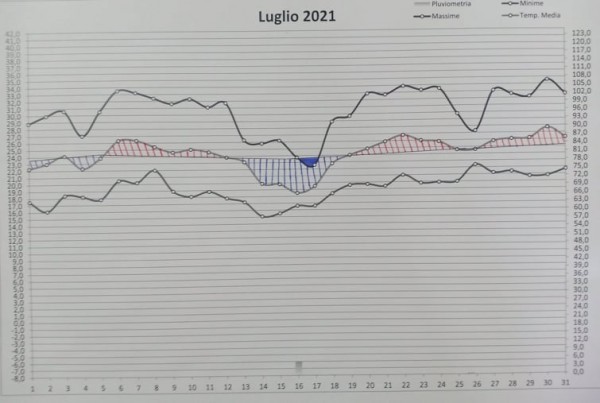 Grafico luglio 2021.jpg