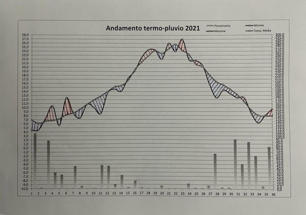 Grafico Anno 2021.jpg (91.56 KiB) Osservato 474 volte Grafico Anno 2021.jpg