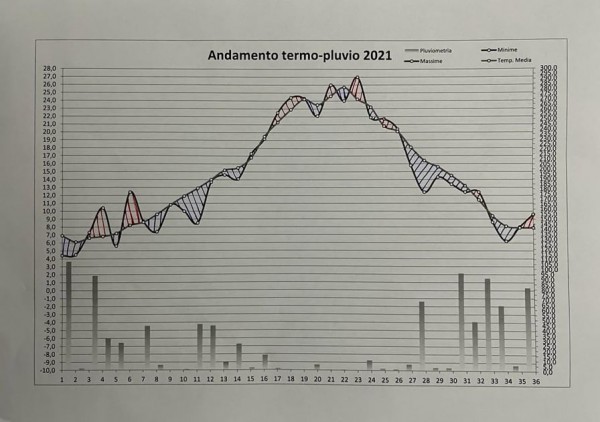 Grafico Anno 2021.jpg