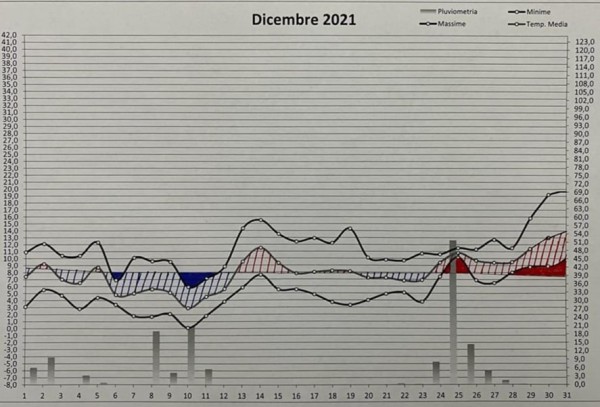 Grafico dicembre 2021.jpg