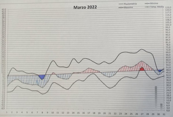 Grafico marzo 2022.jpg