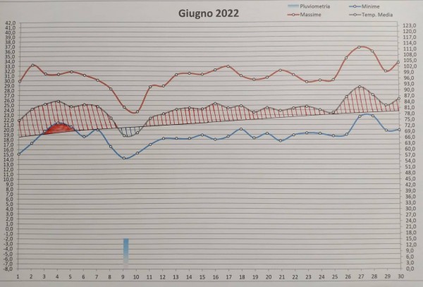 Grafico giugno 2022.jpg