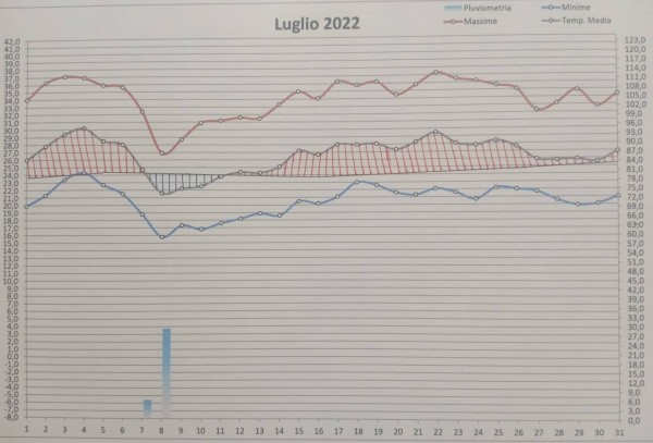Grafico luglio 2022.jpg (154.5 KiB) Osservato 316 volte Grafico luglio 2022.jpg