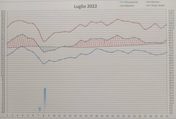 Grafico luglio 2022.jpg