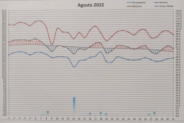 Grafico agosto 2022.jpg