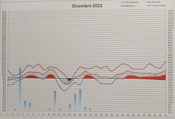 Grafico dicembre 2022.jpg