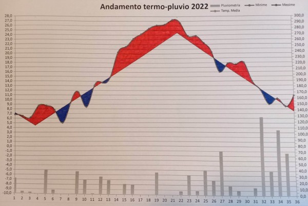 Grafico anno 2022.jpg