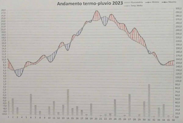 Grafico anno 2023.jpg (115.46 KiB) Osservato 265 volte Grafico anno 2023.jpg