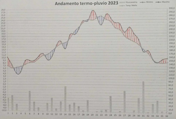 Grafico anno 2023.jpg