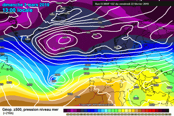 ECM1-216.gif